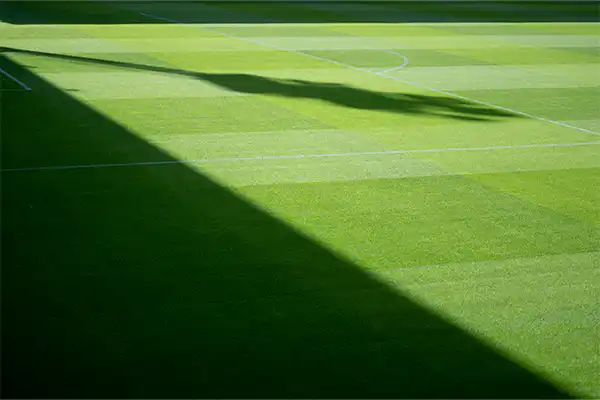 Sports injury claims