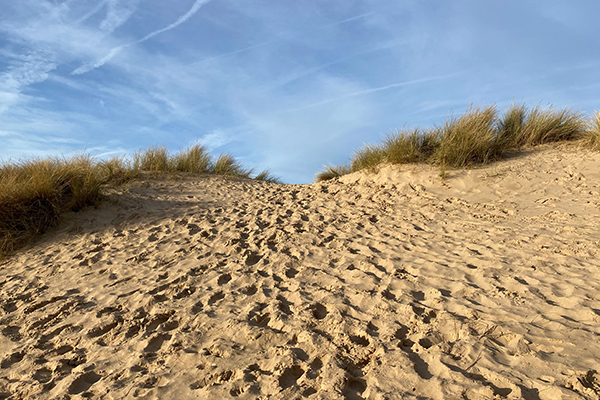 Summer bank holiday opening