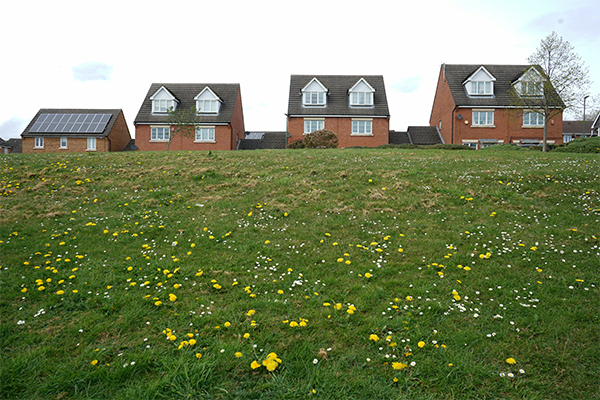 Home buying and selling reforms win strong industry support: what it means for you
